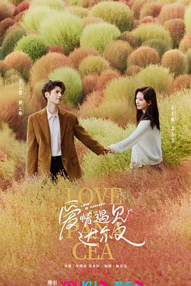 安宁网站优化优惠团队